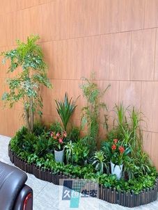 湖州企业大厅绿植组合摆放